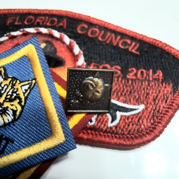North Florida Boy Scout Patches NF Counsil 20 Wolf Bobcat Wolf Pin 2014 Badges - Picture 5 of 5